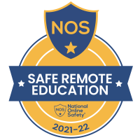 National Online Safety Logo